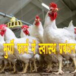 Health management in poultry farm